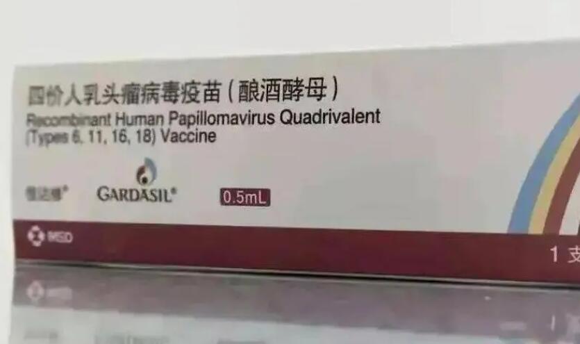 在辽宁做试管不再需要结婚证这些知名医院均能做试管助孕