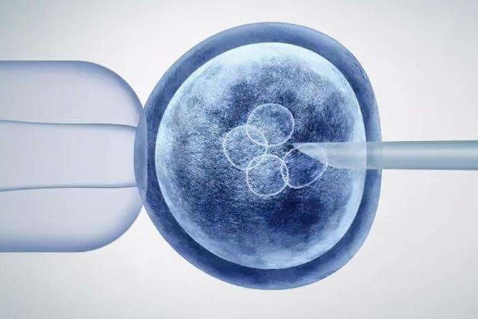 女性第三代试管婴儿胚胎移植前PGT三种检查都需要做吗