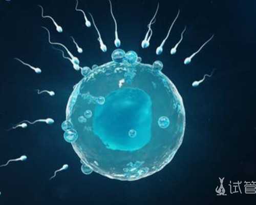 国内供精供卵选性别公司,南通试管婴儿费用一次多少钱很贵吗
