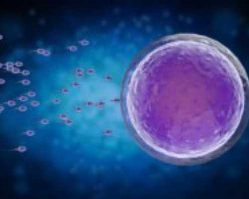 全国供卵试管医院排行,深圳不需要结婚证的试管医院有吗