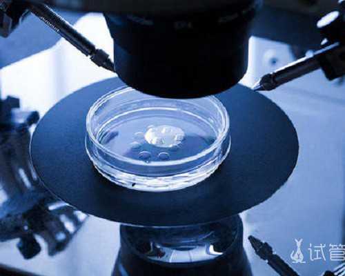 国内借卵代怀咨询,泰国做第三代试管详细流程(清楚了解每一个步骤)