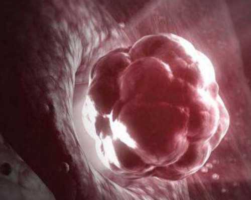 国内供卵要等多久才能怀孕,试管双胞胎成功率有多大，试管双胞胎的流程及风险解读附注意事项