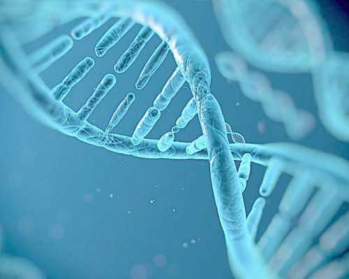 国内捐卵的费用,试管婴儿费用大约多少上海？不同的医院价格不同