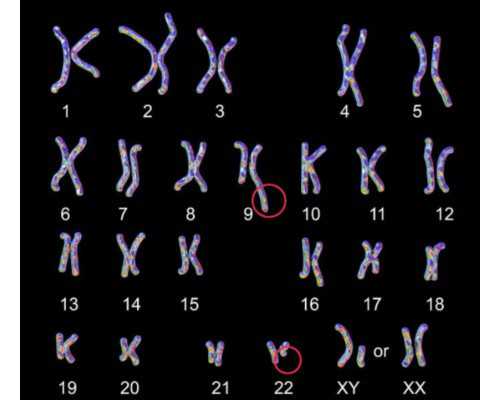 国内代生大概费用,私人医院试管婴儿的费用明细公开主要是这几个流程