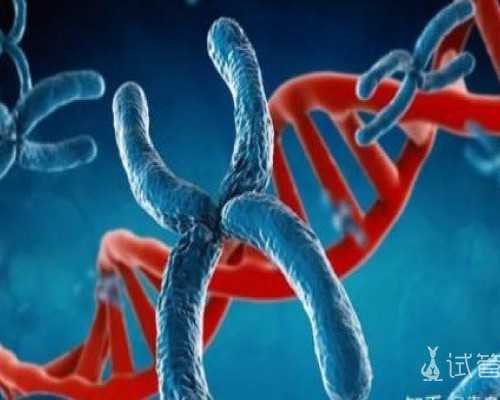 惠州做试管费用要多少？各代有何不同？,代生助孕医院