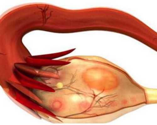 国内代怀怎么联系,做试管当月跳绳的正确方法,备孕跳绳的正确方法