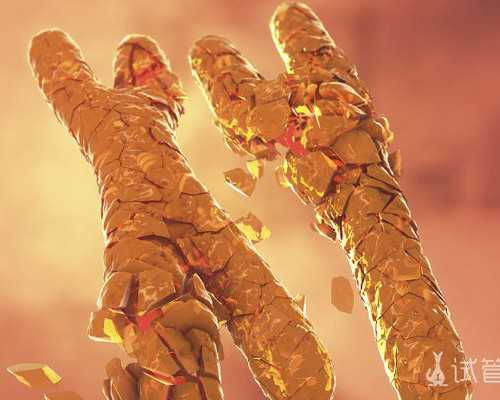 国内有偿供卵代孕公司,私人医院的三代试管和公立一样 达到良好的受孕效果