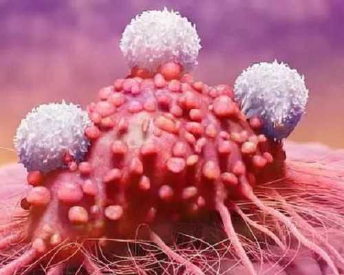 福建哪家医院可以做三代试管婴儿？福建三代试管医院大全