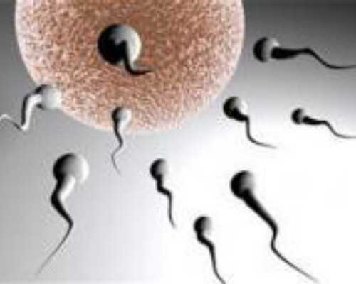 国内助孕代生,继发性不孕迟迟没怀上能选择去试管婴儿移植吗？