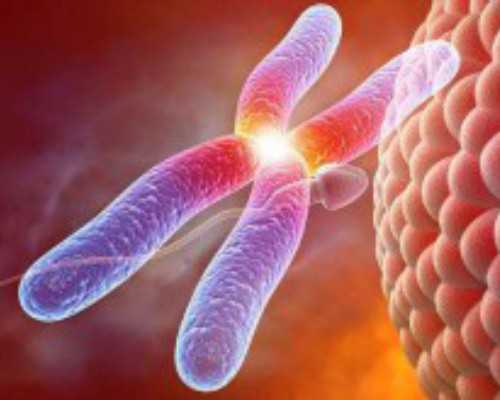 怎么联系三美泰医院?通过泰国试管中介或者官网都可选择,优生代怀