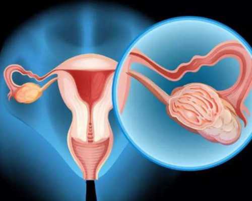 国内找代孕公司,试管胚胎：终止生命的选择，应该放在我们的手中吗？