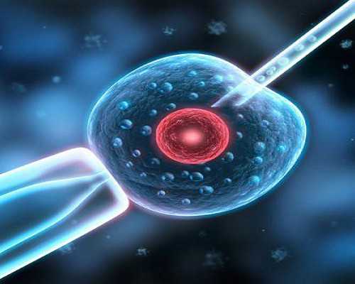 国内供卵试管公司排行榜,畸形精子能做试管婴儿吗,精子畸形率98%能治好吗