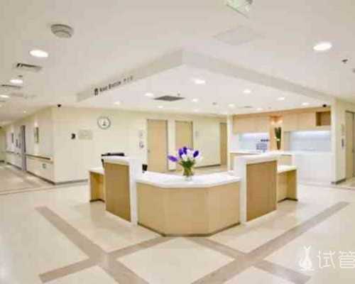 国内哪里有供卵试管的医院,单身女士去泰国做试管需要多少钱