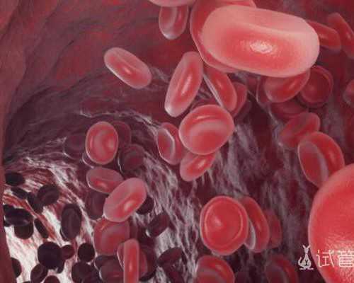 国内供卵要多长时间,胚胎移植后能不能闻烟味要早知，导致着床失败就来不及了