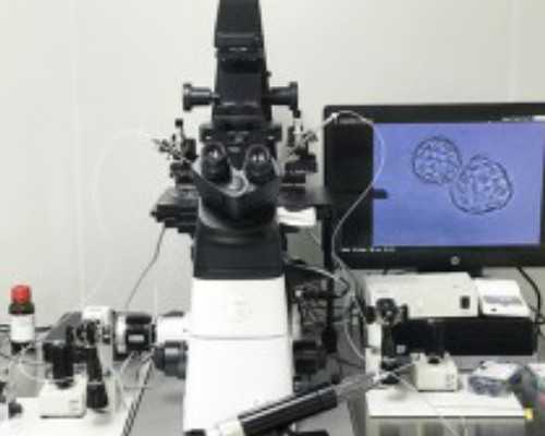 国内试管代生,国内特纳氏综合症做**育小孩的费用贵吗