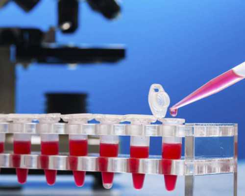 中国正规的供卵机构,胚胎移植后出现失眠该怎么办(试管婴儿移植后感冒了会影响*率吗)