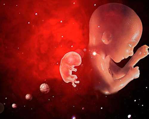 国内哪里有供卵机构卖,做试管婴儿有没有年龄上限