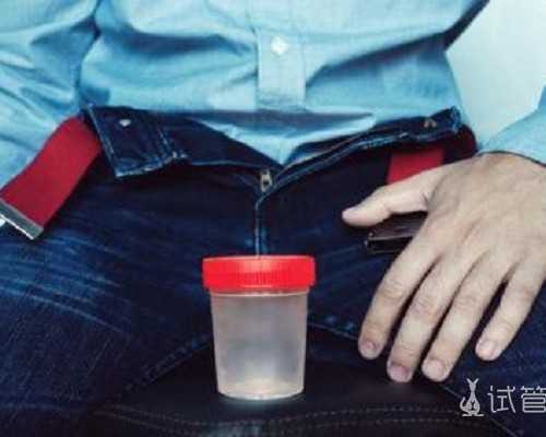 每天吃一碗黑米黑豆粥黑豆的营养价值,借腹代生机构