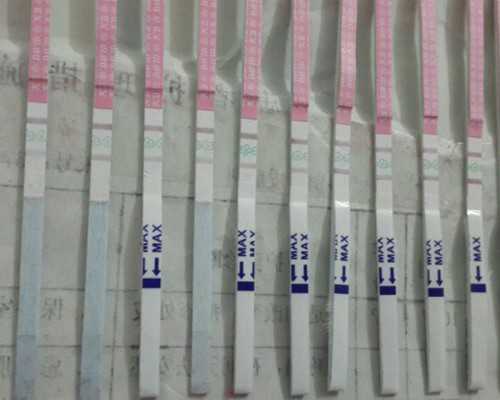 国内借卵试管代生,37岁高龄做试管其实不晚，其成功率明显高于自然受孕