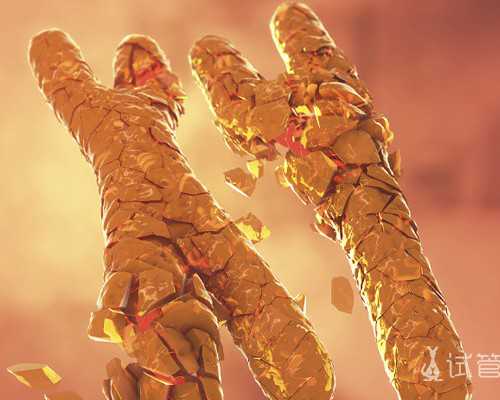 南京医院看男科,代怀机构公司